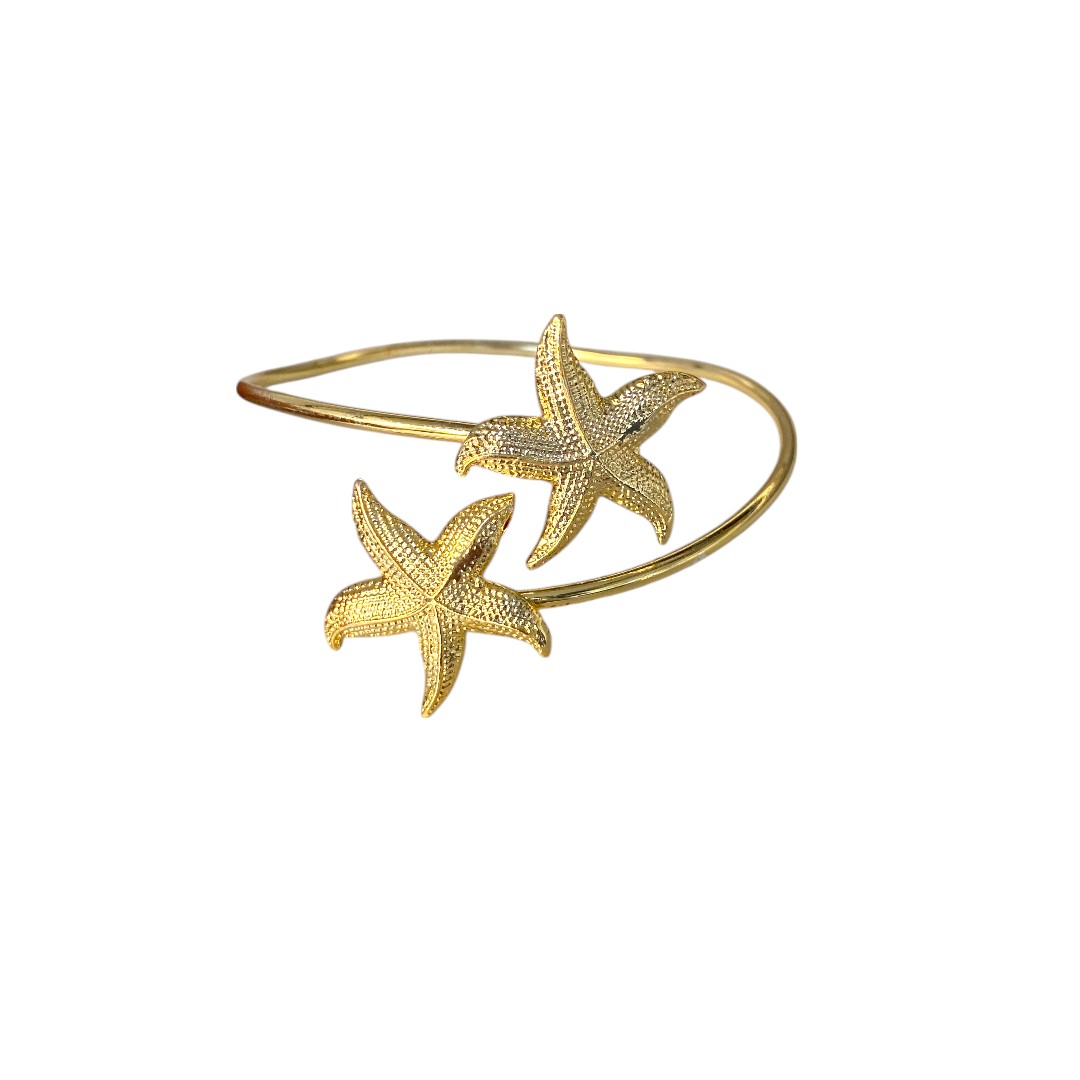 Deniz Yıldızlı Pazu Kelepçesi